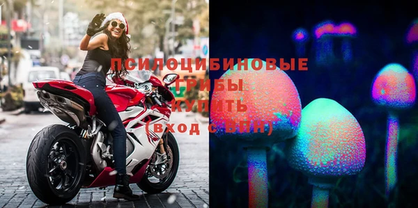 амф Володарск