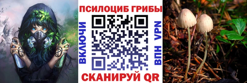 Псилоцибиновые грибы ЛСД mega вход площадка состав Ленинградская